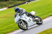 PJ-Motorsport-Photography-2020;anglesey;brands-hatch;cadwell-park;croft;donington-park;enduro-digital-images;event-digital-images;eventdigitalimages;mallory;no-limits;oulton-park;peter-wileman-photography;racing-digital-images;silverstone;snetterton;trackday-digital-images;trackday-photos;vmcc-banbury-run;welsh-2-day-enduro